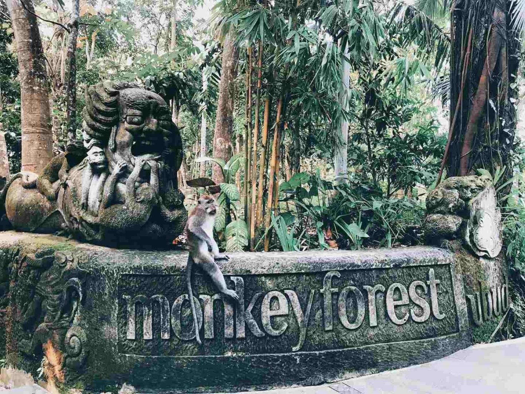 Kaamala Luxury Resort & Spa Ubud By Ini Vie Hospitality Экстерьер фото